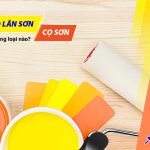 Rulo lăn sơn và cọ sơn